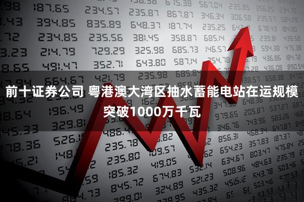 前十证券公司 粤港澳大湾区抽水蓄能电站在运规模突破1000万千瓦